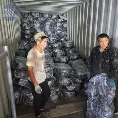 Fast Delivery Low Visibility Obstacle Barrier Metal Wire Anti Tank Barrier MZP Putanka Quick Production Fast Shipment