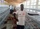 De Kippenkooi van de eilaag, de Kooi van de het Metaalkip van het Kippengevogelte voor Kenia