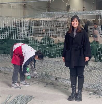 Mil 1 Army Defensive Barrier Wall Protection Galvanized Coated With Geotextile hesco barrier price