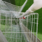 96 de Vogels Gegalvaniseerde Kooi van het de Kippenstaal van de Draadlaag Automatisch in Gevogeltelandbouwbedrijf