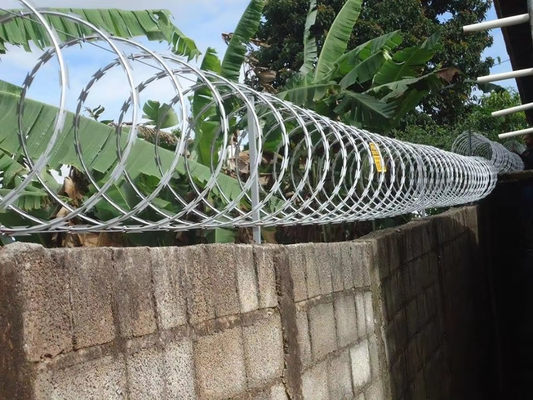2024 KN Bescherm hek Razor Barbed Wire Mesh 2,5 mm In Kenia Zuid-Afrika Zimbabwe