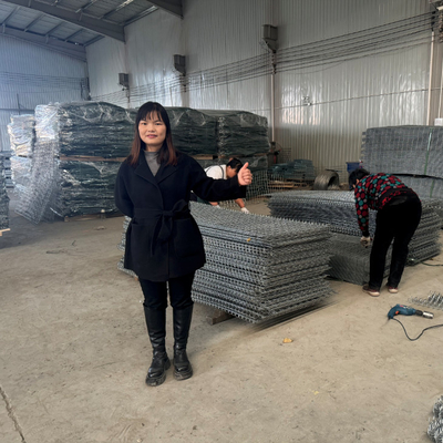 Mil 10 Duurzaam gelast Gabion Beschermingsbarrière Bastion Met Geotextiel CE Certificaat