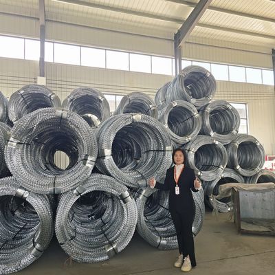 Hoge Dichtheid Platte Type Enkele Scheermes Concertina Scheermesdraad voor Veilige Omheining