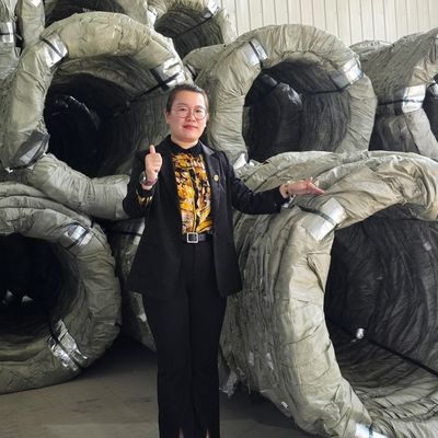 Egoza Concertina Draad Scheerscheermessenscheermes scherpe bescherming voor kritieke locaties