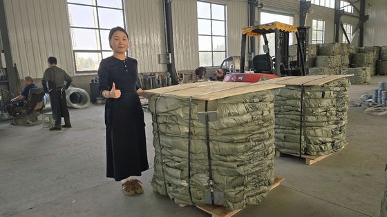 Fabriek Groothandel Gegalvaniseerd PVC Roestvrij Staal Concertina Scheermesdraad BTO-22 BTO-60 Scheermesdraad Rollen