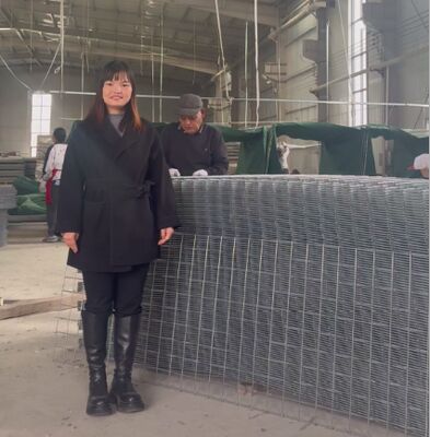 SX10 Sandfilled HESCO Defensieve barrières met geotextiel Militaire Gabion barrières HESCO barrière prijs