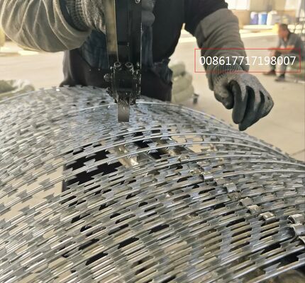 Fabriek levert direct scheermesdraad prikkeldraad voor gevangenisgrensboerderij