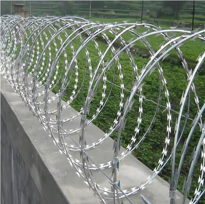 Fabrieksprijs Razor Barbed Wire Roll Sharp Concertina Blade Wire Anti Theft Security Fencing Wire Mesh Te koop
