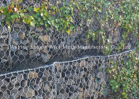 Rivierrots 4mm de Muurkooien van Gabion van de Ijzerdraad Flexibele
